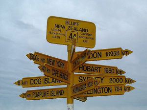 multiple sign posts