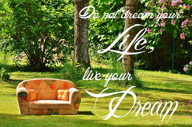Do not dream your life image