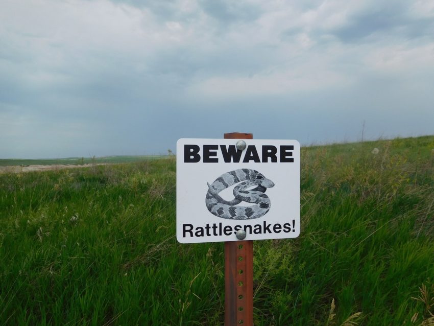 Beware of rattlesnake sign
